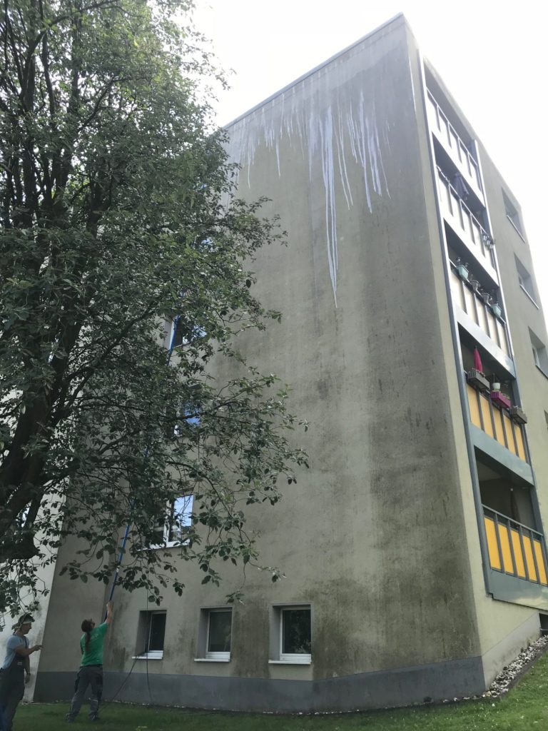 fassadenreinigung