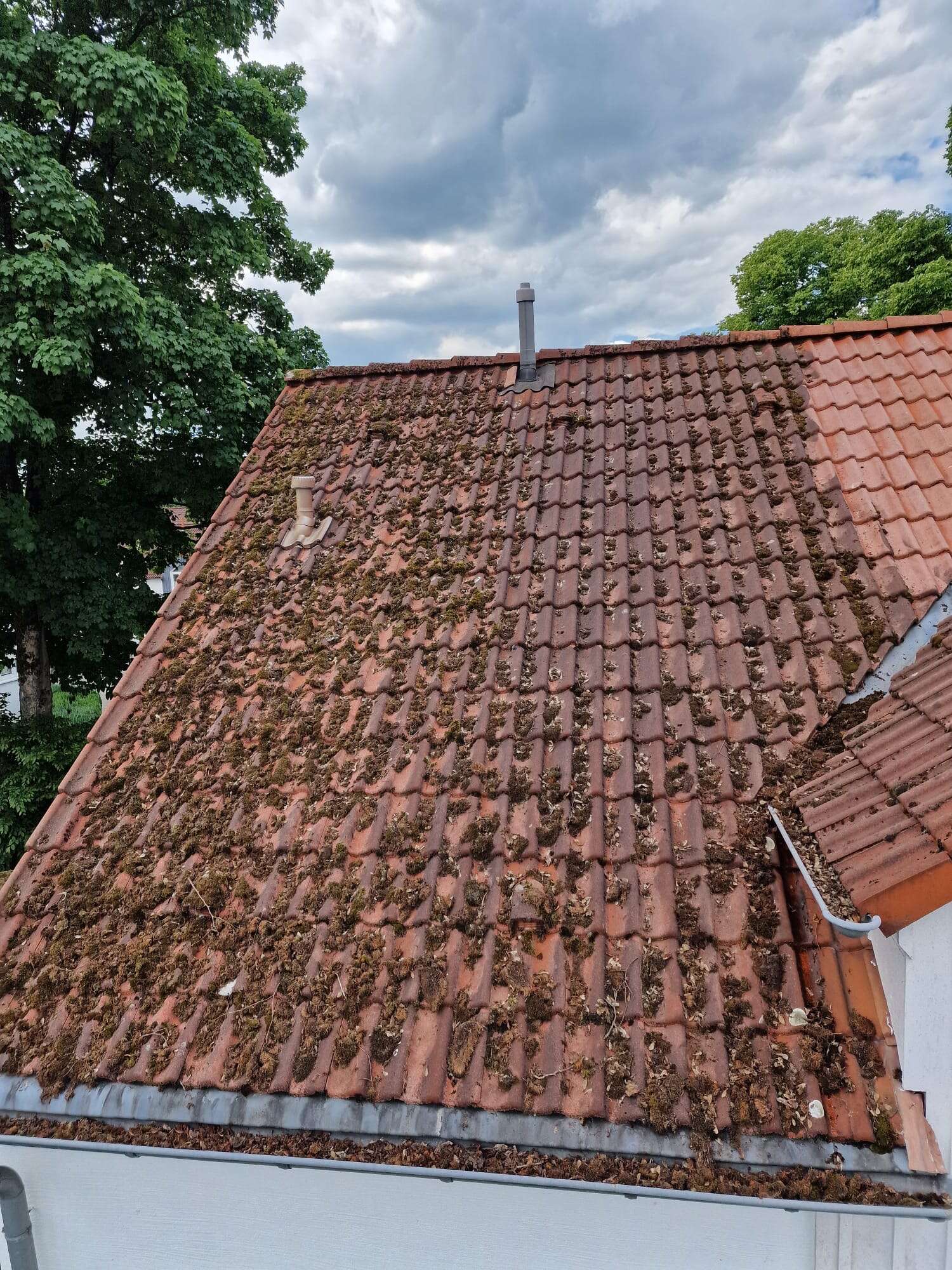 Dachreinigung