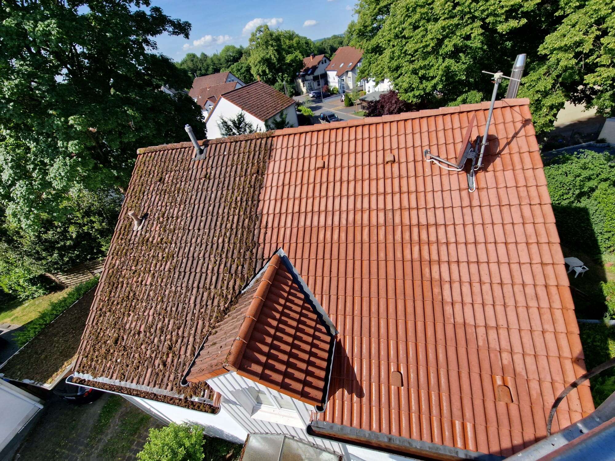 Moos auf dem Dach
