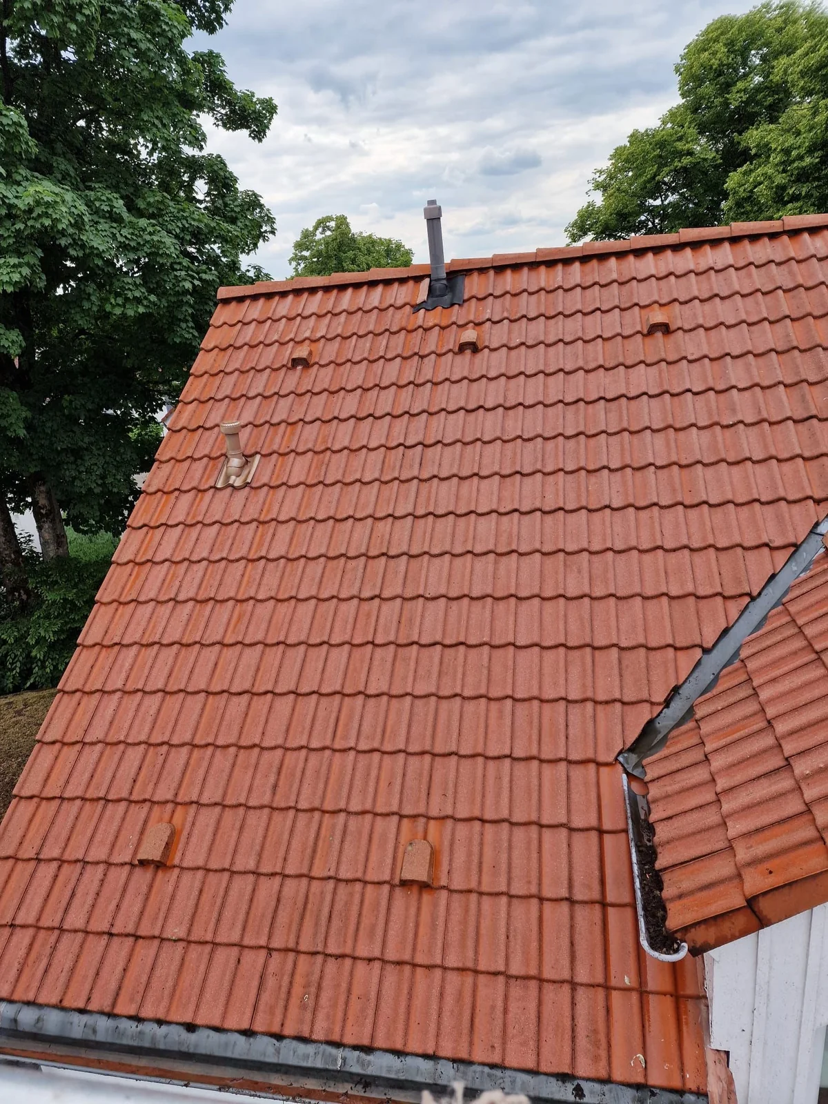 Dachfläche nach der Reinigung durch C&S Wolff